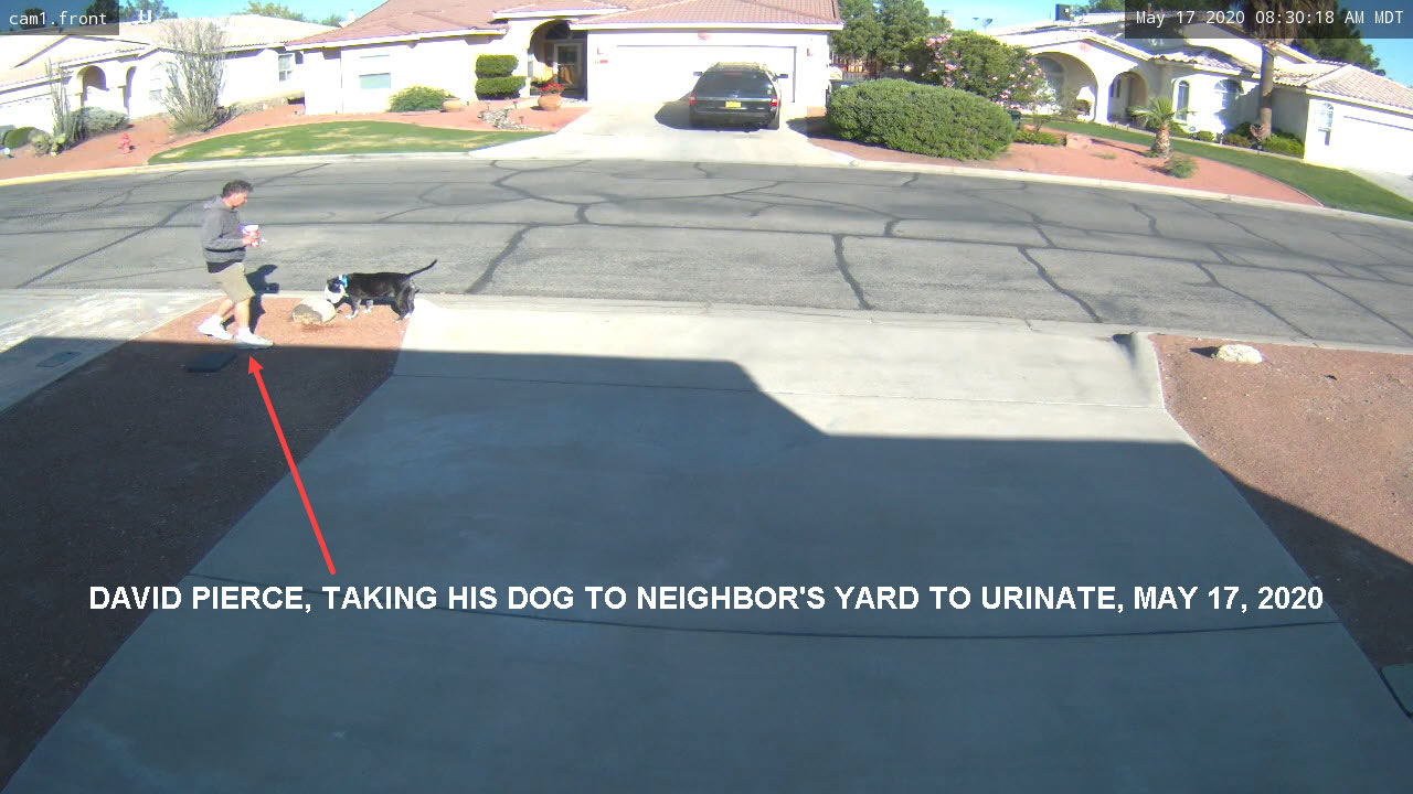 David Pierce, taking his dog to urinate in neighbor's yard, May 17, 2020.