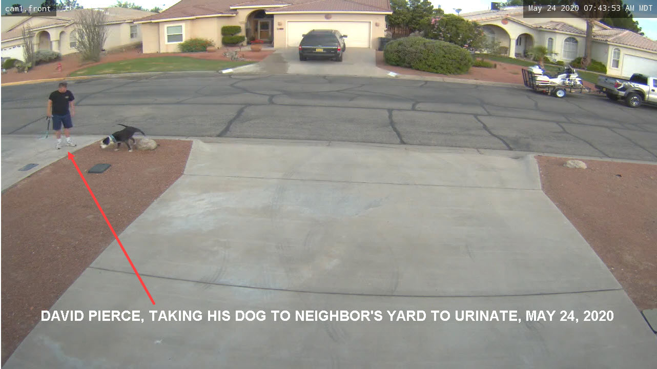 David Pierce, taking his dog to urinate in neighbor's yard, May 24, 2020.