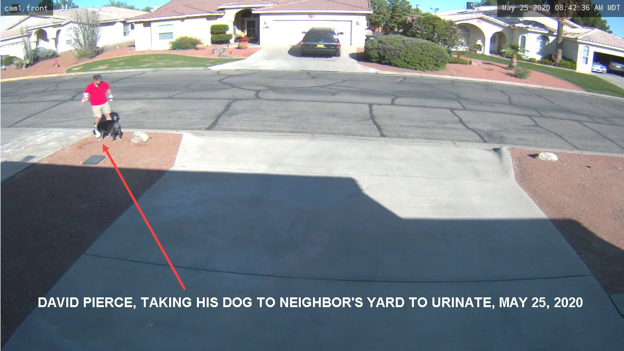 David Pierce, taking his dog to urinate in neighbor's yard, May 25, 2020.